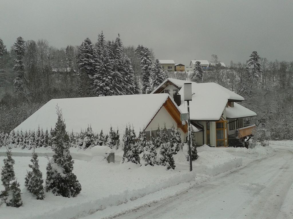 Dzt-Schwarzwaldhotel Garni Unterkirnach ภายนอก รูปภาพ
